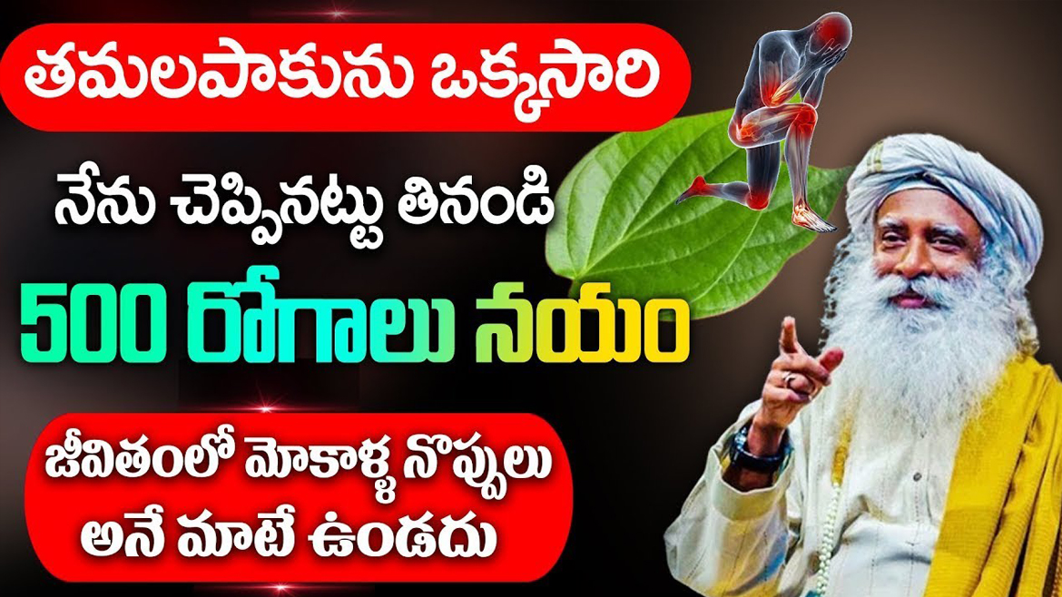 అన్నం తిన్న తరువాత ఇక్క తమలపాకు మోకాళ్ళ కీళ్ల నొప్పులు తగ్గిపోతాయి.